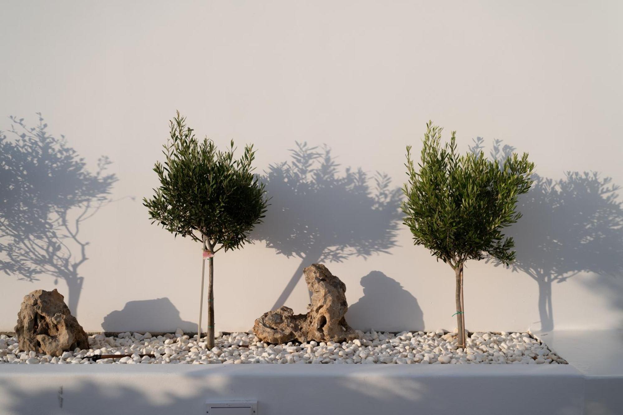 דירה Castello Amorgos