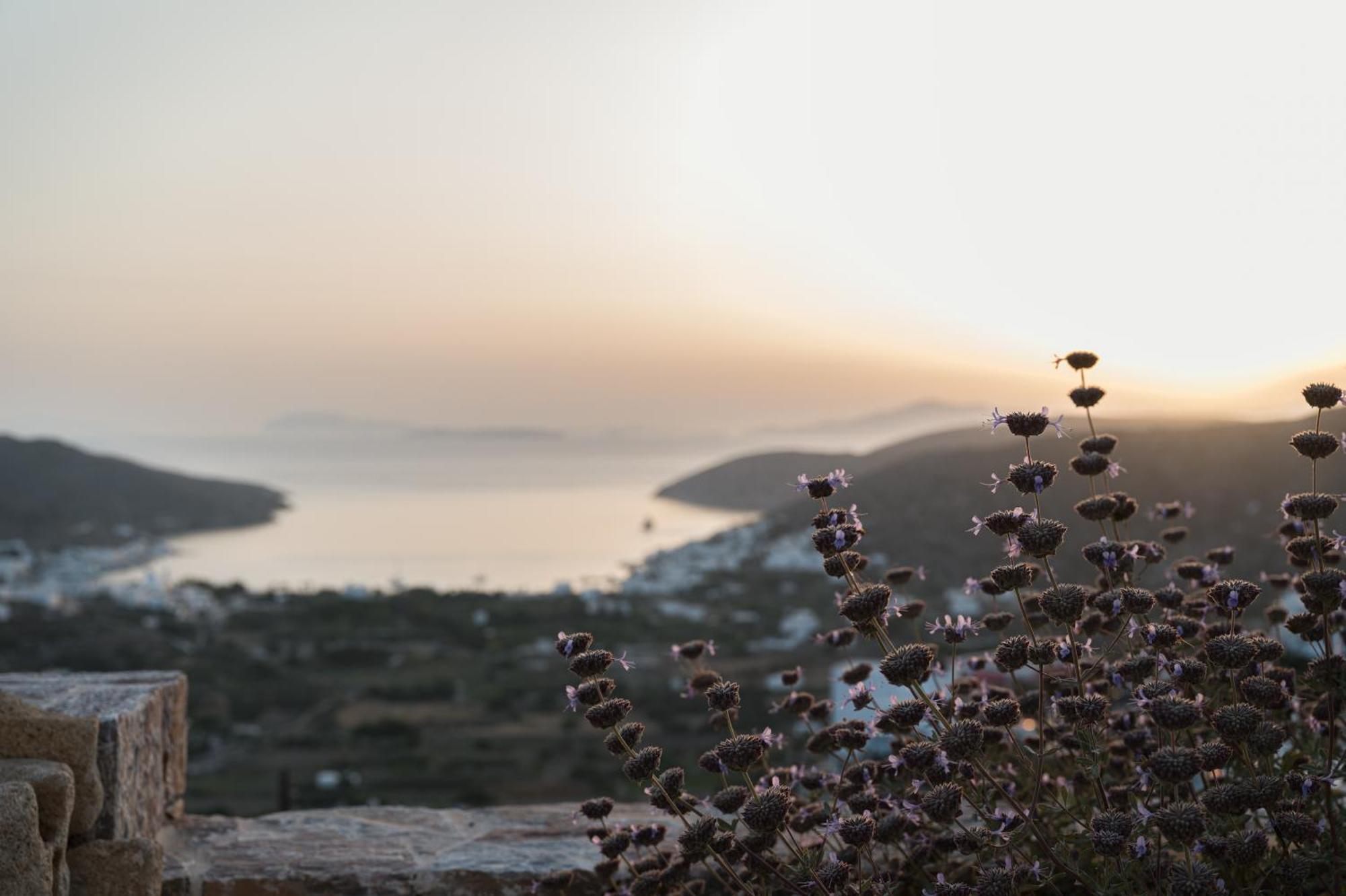 Castello Amorgos Apartment Katapola